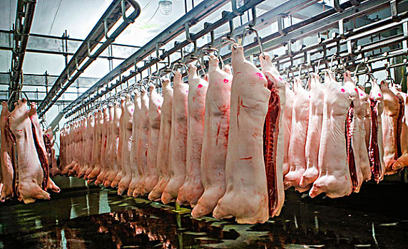 肉制品图鉴 烧烤卤肠馋哭了谁？来看劲道爽口的真香秘密
